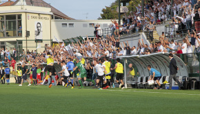 Il fischio finale di Pro Vercelli-SudTirol del 7 giugno 2014 (Foto Ivan Benedetto)