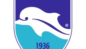 pescara-calcio-113345