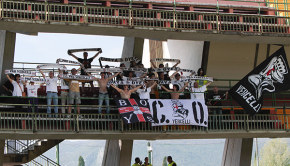 I tifosi della Pro Vercelli a Terni nel maggio 2015 (Foto Ivan Benedetto)