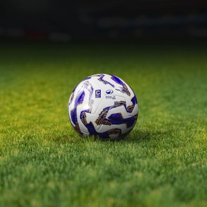 (Foto Lega Pro)
