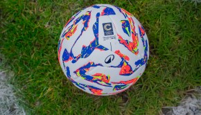 (Foto Lega Pro)