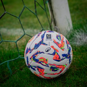(Foto Lega Pro)